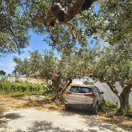 Appartamenti Fior Di Loto Trapani Room photo