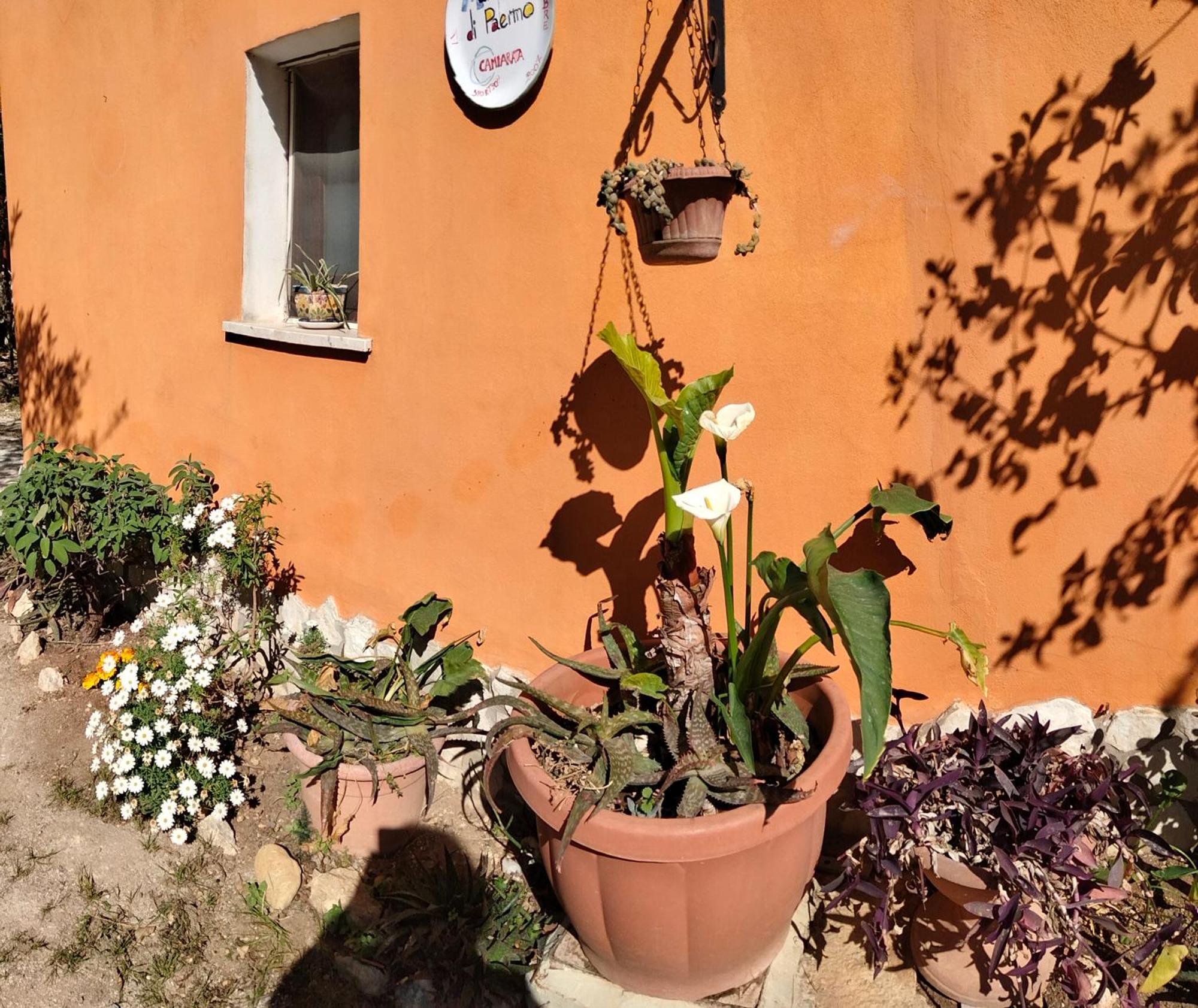 Fior Di Loto Apartment *