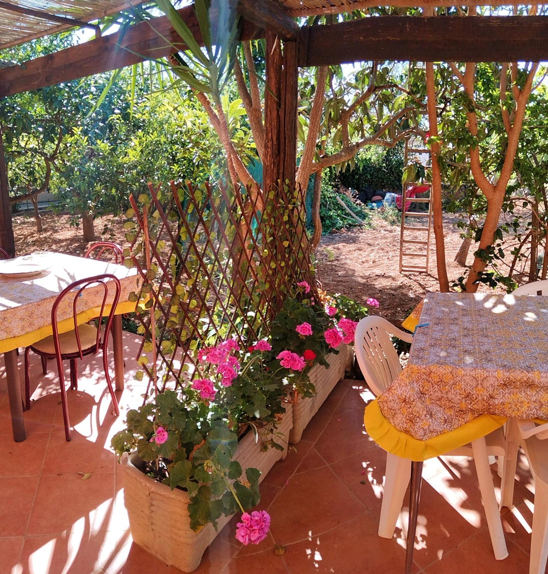 Fior Di Loto Apartment Trapani