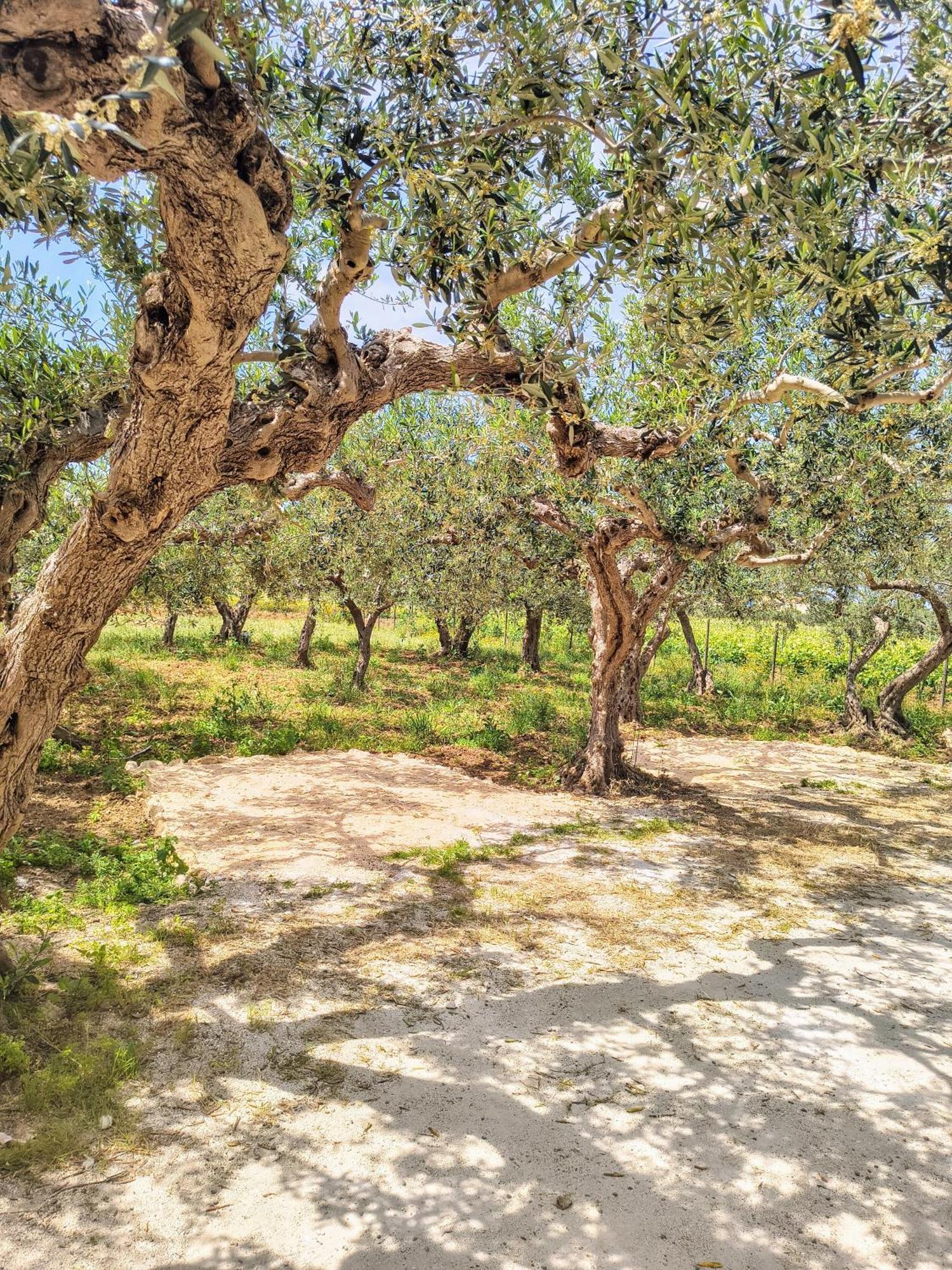 Fior Di Loto Appartement Trapani
